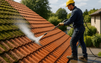 Démoussage toiture et façade en Isère (38) – Ne laissez pas la nature reprendre le dessus